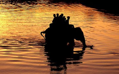 Chitwan Jungle Safari Package (Fly In Fly Out - 4 Nights / 5 Days)
