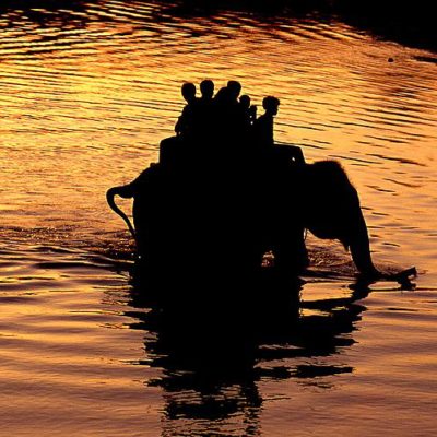 Chitwan Jungle Safari Package (Fly In Fly Out - 4 Nights / 5 Days)