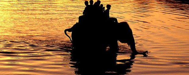 Chitwan Jungle Safari Package (Fly In Fly Out - 4 Nights / 5 Days)