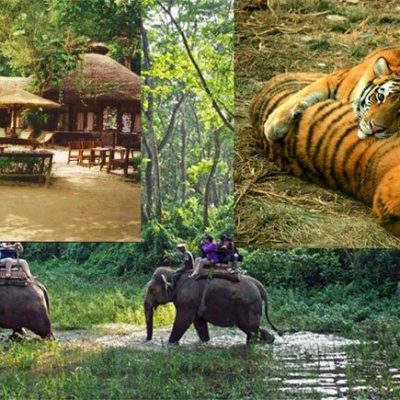 Chitwan Tour Package from Kathmandu (2 Nights / 3 Days)