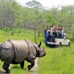 Nepal Tour Packages - Chitwan Jungle Safari