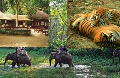 Chitwan Tour Package from Kathmandu (2 Nights / 3 Days)